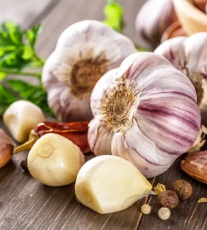 ajo origen natural sostenible garcia millan